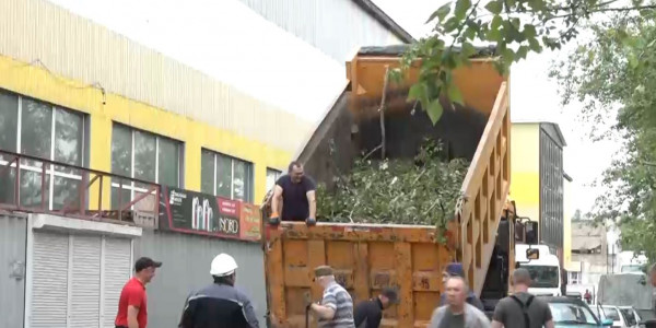 В Петропавловске устраняют последствия урагана