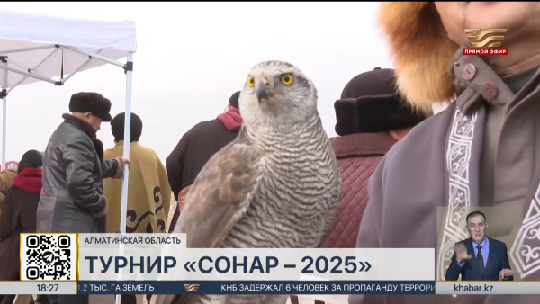Международный турнир «Сонар – 2025» прошел в Алматинской области