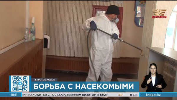 Дезинсекционные работы против комаров и мошек проводятся в Петропавловске