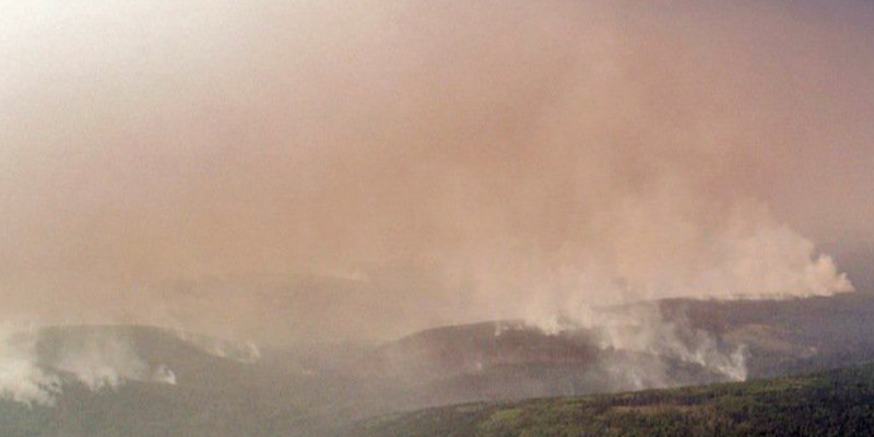 Из-за дыма задыхаются жители приграничных сел Туркестанской области