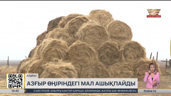 Атырау облысына қарасты Азғыр өңірінде шаруалар қапалы