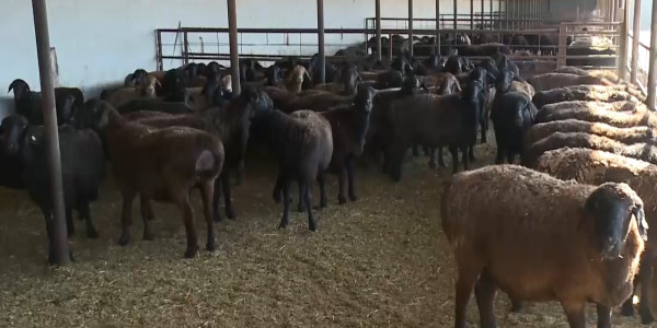 &laquo;Ауыл&raquo; партиясы Түркістан облысы шаруаларымен кездесіп, мәселелерін тыңдады