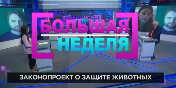 &laquo;Большая неделя&raquo;. Законопроект о защите животных