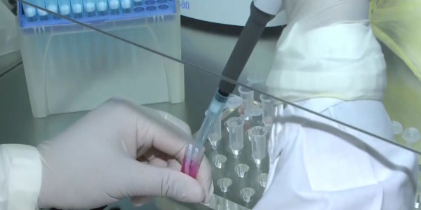 Түркістан облысындағы эпидахуал ушығып тұр