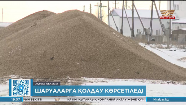 Ақтөбе облысында егіс алқабының 20% орылмай жатыр