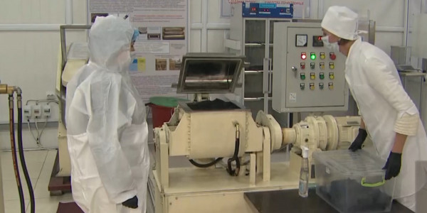 Қазақстандық ғалымдар күріш қауызынан емдік дәрі ойлап тапты