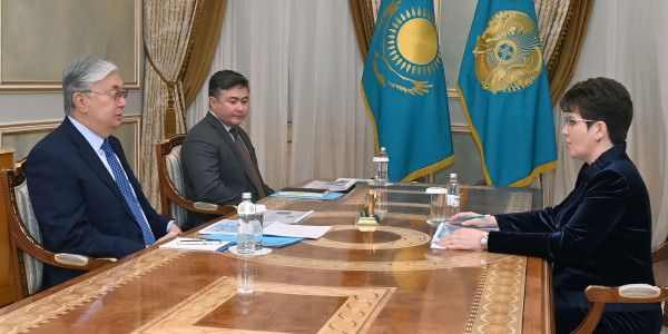 Глава государства принял председателя Высшей аудиторской палаты Наталью Годунову