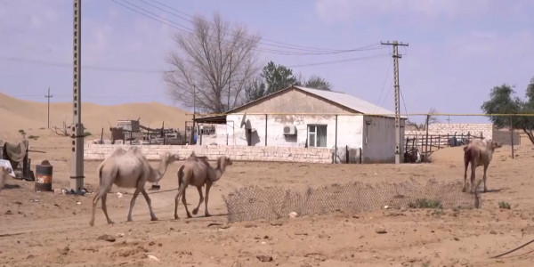 В песчаной ловушке находятся 3 населенных пункта в Мангистауской области