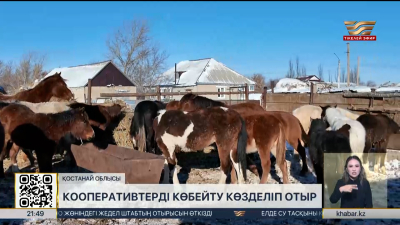 Қостанай облысында кооперативтерді көбейту көзделіп отыр