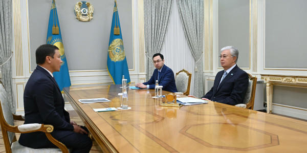 Мемлекет басшысы Геннадий Головкинді қабылдады