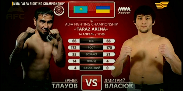 Турнир по ММА. &laquo;Alfa Fighting Championship&raquo;