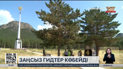 Елімізде заңсыз гидтер саны артқан