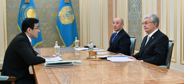 Президент принял председателя правления АО «НУХ «Байтерек»