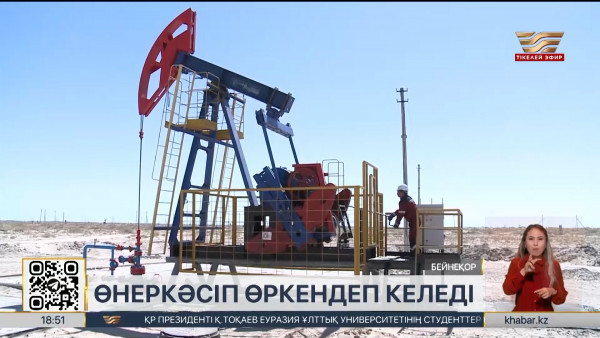 Елімізде өңдеу өнеркәсібі саласы өркендеп келеді