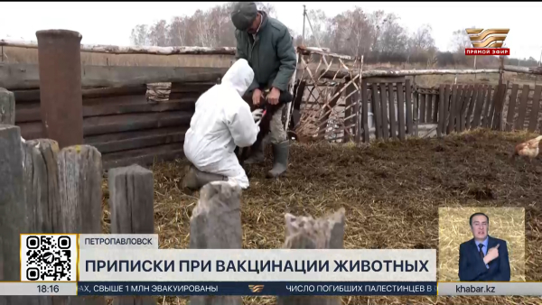 Приписки при вакцинации животных выявили в СКО