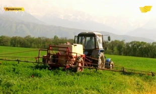 &laquo;Продвопрос&raquo;.Куры: вода вместо мяса из России, VIII экономический форум в Астане, стимуляторы роста растений, куринные грудки с грибами  от Джамили Серкебаевой.