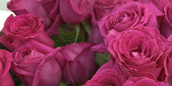 Как казахстанцы отмечают 8 марта