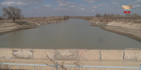 Күріш қымбаттауы мүмкін