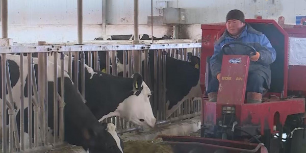 Қазақстан үшін таптырмас табыс көзі ауыл шаруашылығы болмақ