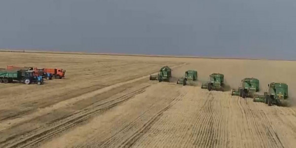 Владельцы 26 крестьянских хозяйств просят отсрочить платежи по кредитам