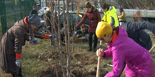В Алматы подвели итоги акции &laquo;Зелёный двор&raquo;