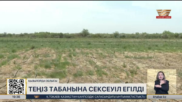 Арал теңізінің табанына сексеуіл егілді