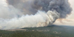 Площадь лесного пожара в ВКО увеличилась в 6 раз