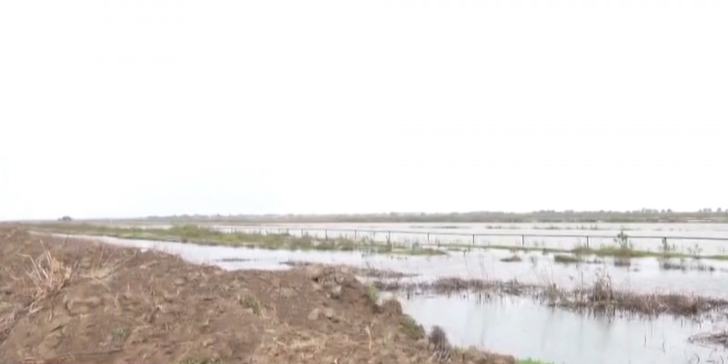 Для пострадавших от наводнения в Туркестанской области возведут новый микрорайон