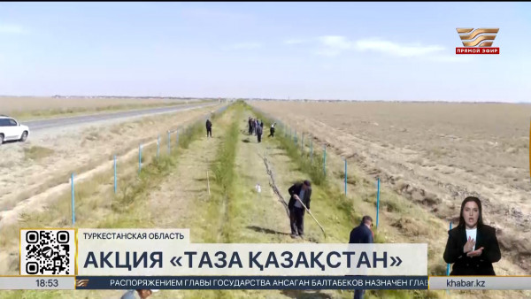 Масштабную экоакцию провели в Туркестанской области