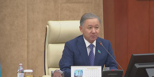 Мәжіліс электр қуатын мемлекетаралық таратуға қатысты құжатты ратификациялады