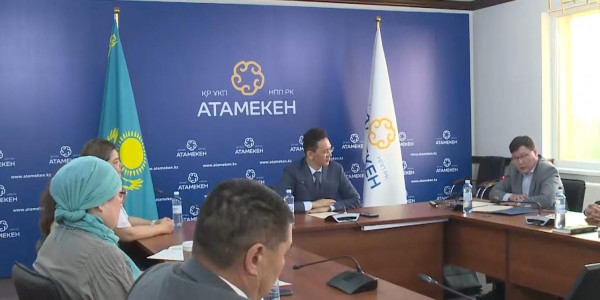 Мемлекеттік кірістер комитеті 3 мыңнан астам кәсіпкерге айыппұл салды