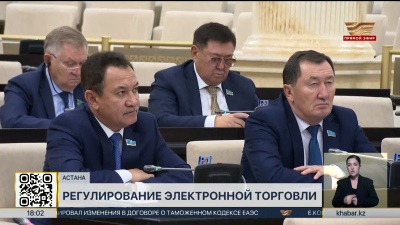 Казахстанцев обяжут декларировать покупки с зарубежных маркетплейсов