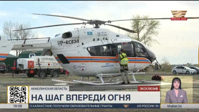 Воздушное патрулирование используют для защиты леса в Акмолинской области