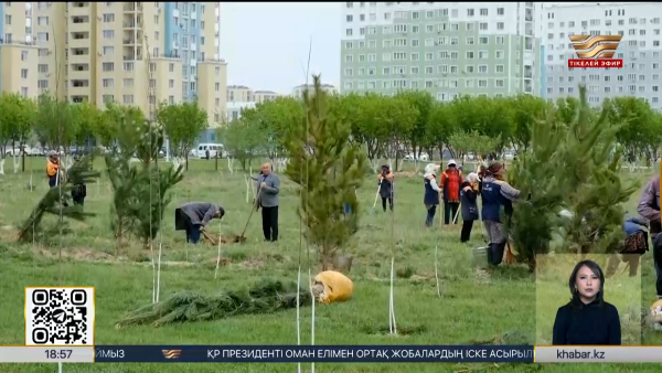 Ордабасыда 20 мың көшет егіледі
