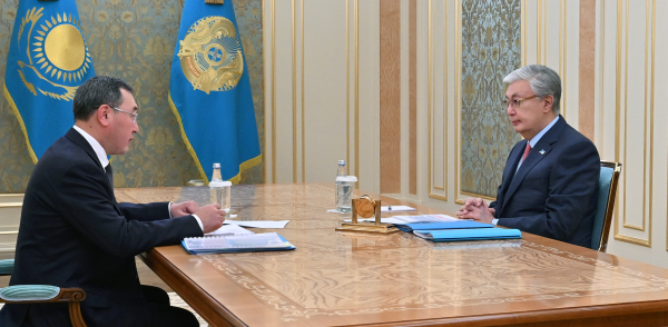 Мемлекет басшысы Алматы облысының әкімін қабылдады