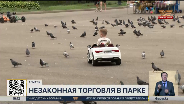 Незаконную торговлю детскими электромобилями выявили в Алматы