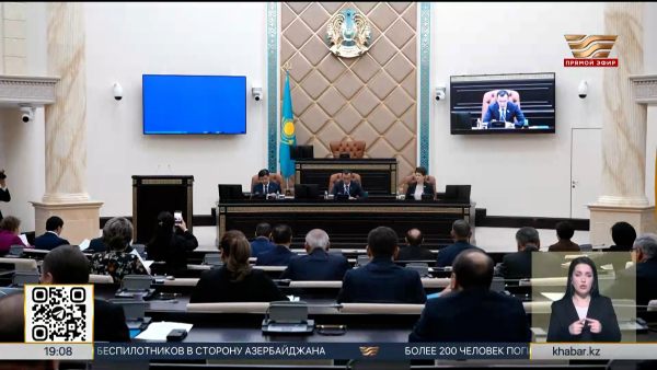 Казахстан и Австрия усилят сотрудничество в борьбе с незаконной миграцией