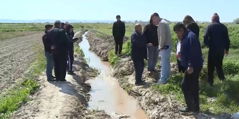 Корма могут производить из отходов животноводства в Туркестанской области