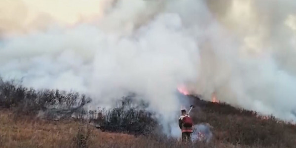 ШҚО-да болған өрт орманшылардың материалдық техникалық базасының әлсіздігін айқындап берді