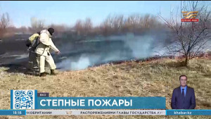 Локальные возгорания тушат в пригороде Усть-Каменогорска