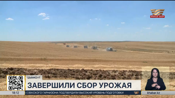 Аграрии Шымкента завершили уборку урожая
