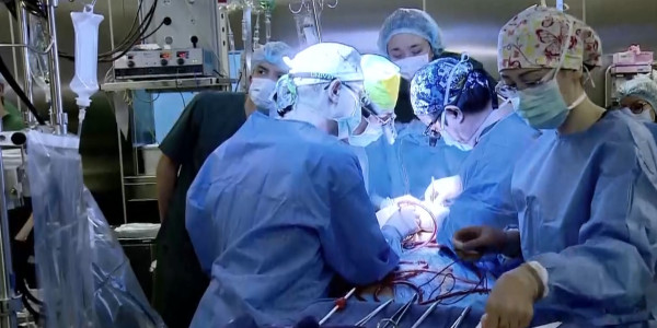 &laquo;Это против религии&raquo;. Казахстанцы наотрез отказываются от трупного донорства