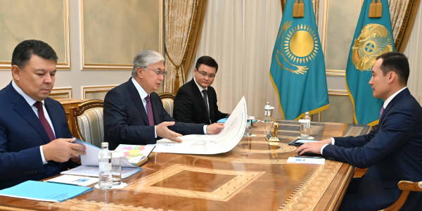 Глава государства принял председателя правления АО &laquo;НК &laquo;QazaqGaz&raquo;