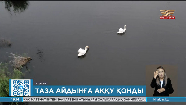 Атырау мұнай өңдеу зауытында су тазарту қондырғысы іске қосылады