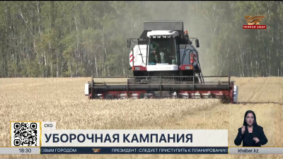 Более миллиона тонн зерна намолотили в СКО