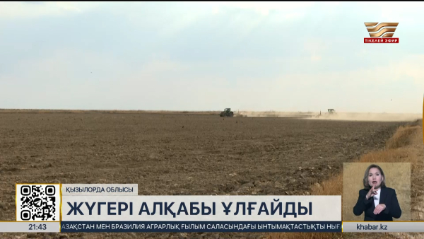 Қызылорда облысында жүгері алқабы 15 мың гектарға ұлғаяды