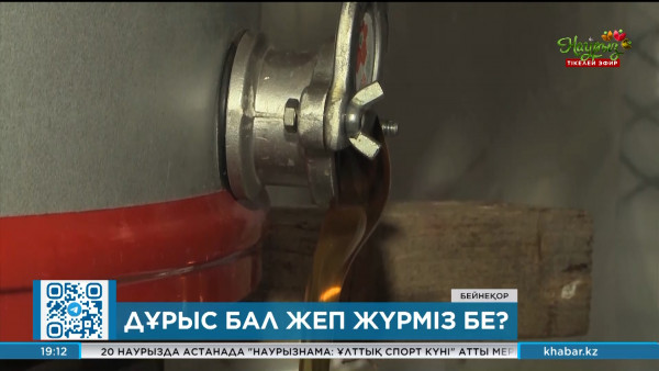 Импортталатын балға тиісті бақылау бар ма?