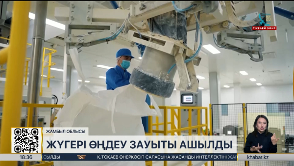 Қазақстанда соңғы 7 жылда азық-түлік өндірісі 2,4 есеге артты