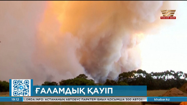 Соңғы жылдары орман өрті жаһандық апатқа айналды