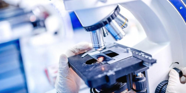 Ұлыбританияда маймыл шешегін жұқтырғандар көбейді